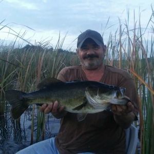 Meet your Posher, Larry